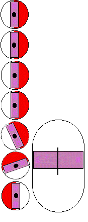 图片关键词 图片关键词